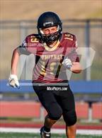 Photo from the gallery "Antelope @ Whitney"