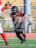 Photo from the gallery "Antelope @ Whitney"