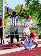 Photo from the gallery "Antelope @ Whitney"