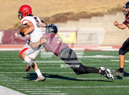 Thumbnail 3 in Antelope @ Whitney photogallery.