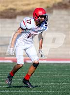 Photo from the gallery "Antelope @ Whitney"