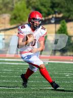 Photo from the gallery "Antelope @ Whitney"
