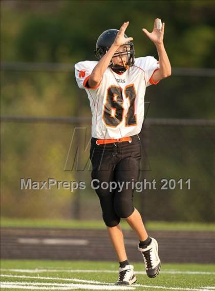 Thumbnail 3 in Brentsville District @ Woodgrove photogallery.