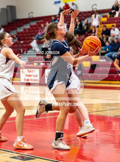 Thumbnail 2 in Rocky Mountain vs. Columbine photogallery.