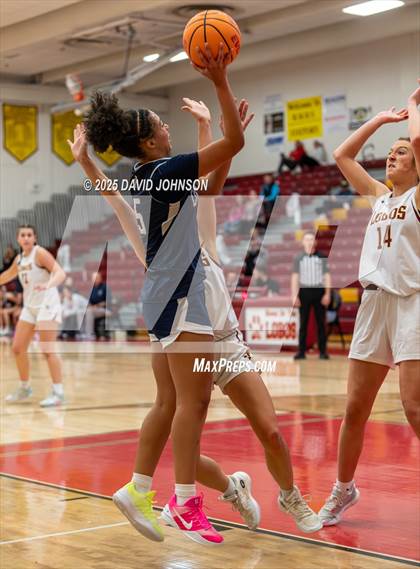 Thumbnail 2 in Rocky Mountain vs. Columbine photogallery.