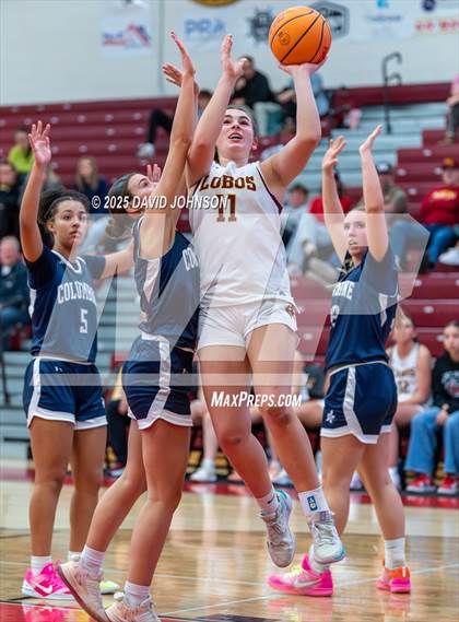 Thumbnail 1 in Rocky Mountain vs. Columbine photogallery.