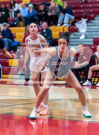 Thumbnail 3 in Rocky Mountain vs. Columbine photogallery.