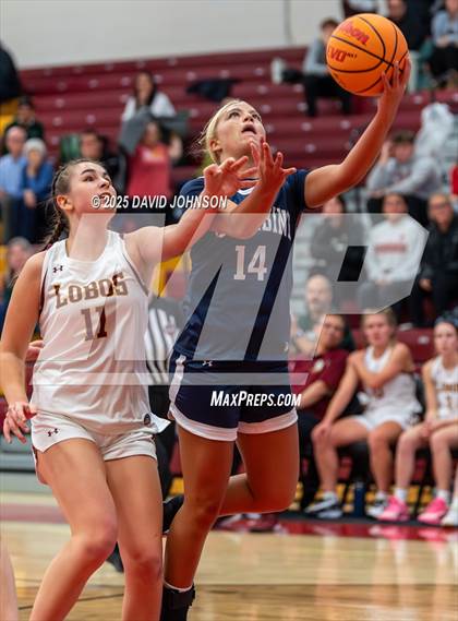 Thumbnail 2 in Rocky Mountain vs. Columbine photogallery.