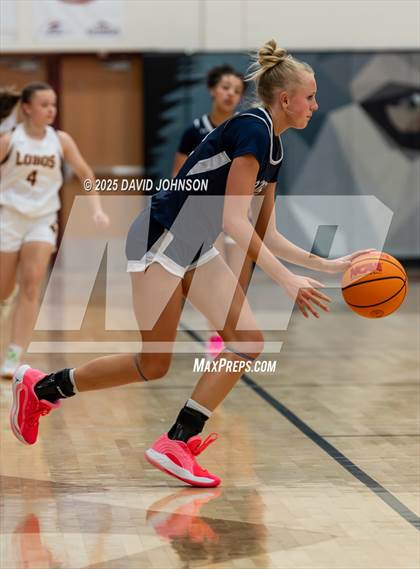 Thumbnail 1 in Rocky Mountain vs. Columbine photogallery.