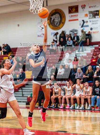 Thumbnail 1 in Rocky Mountain vs. Columbine photogallery.