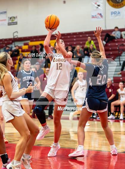 Thumbnail 1 in Rocky Mountain vs. Columbine photogallery.