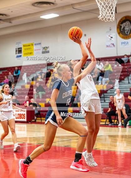 Thumbnail 1 in Rocky Mountain vs. Columbine photogallery.