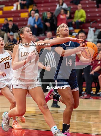 Thumbnail 3 in Rocky Mountain vs. Columbine photogallery.