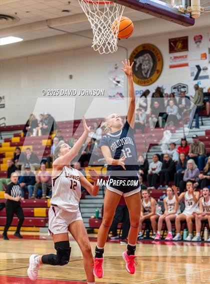 Thumbnail 2 in Rocky Mountain vs. Columbine photogallery.