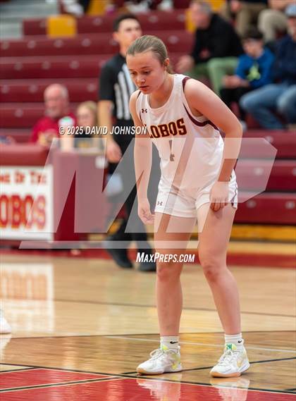 Thumbnail 1 in Rocky Mountain vs. Columbine photogallery.