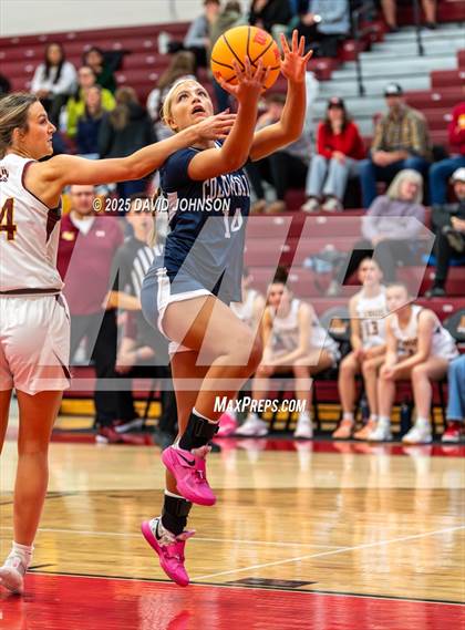 Thumbnail 1 in Rocky Mountain vs. Columbine photogallery.