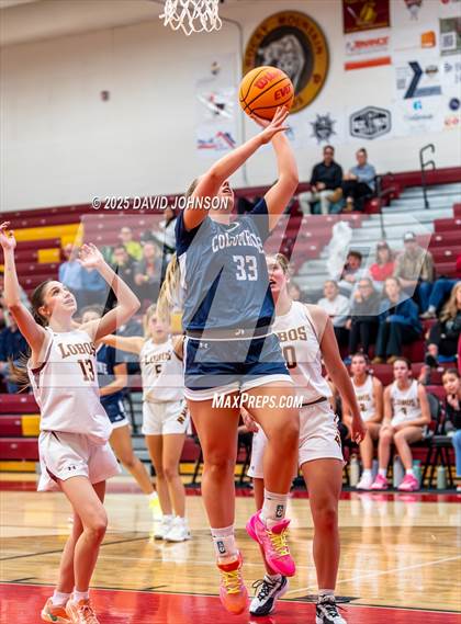 Thumbnail 2 in Rocky Mountain vs. Columbine photogallery.