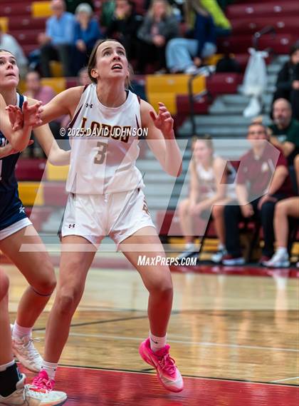 Thumbnail 1 in Rocky Mountain vs. Columbine photogallery.