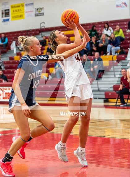 Thumbnail 3 in Rocky Mountain vs. Columbine photogallery.