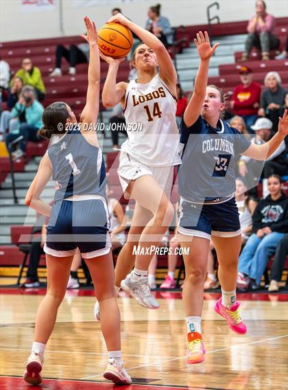 Thumbnail 1 in Rocky Mountain vs. Columbine photogallery.