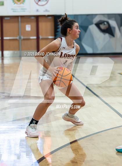 Thumbnail 3 in Rocky Mountain vs. Columbine photogallery.