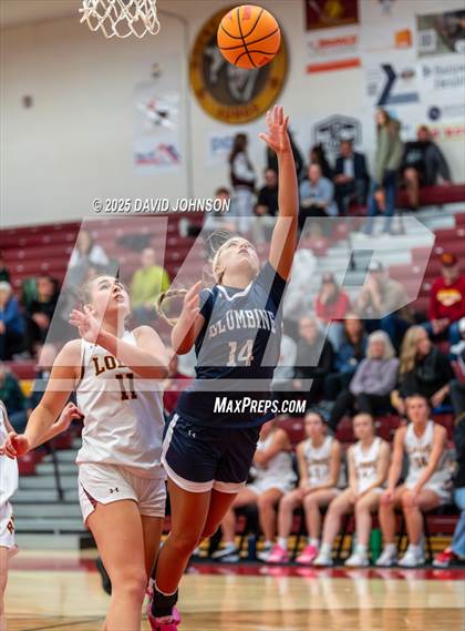 Thumbnail 1 in Rocky Mountain vs. Columbine photogallery.