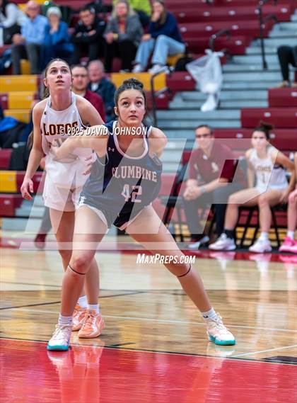 Thumbnail 1 in Rocky Mountain vs. Columbine photogallery.