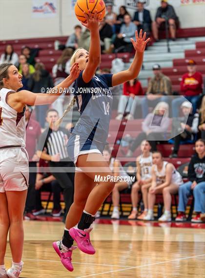 Thumbnail 2 in Rocky Mountain vs. Columbine photogallery.