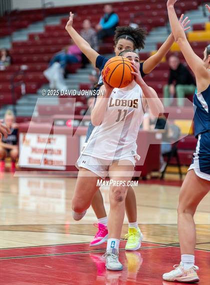 Thumbnail 2 in Rocky Mountain vs. Columbine photogallery.