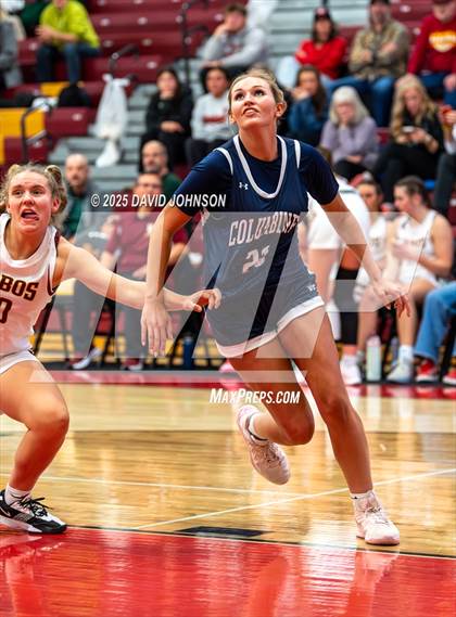 Thumbnail 2 in Rocky Mountain vs. Columbine photogallery.