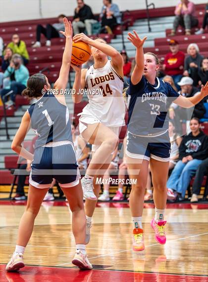 Thumbnail 3 in Rocky Mountain vs. Columbine photogallery.