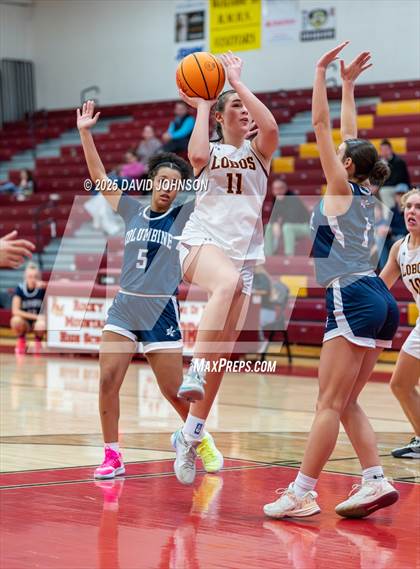 Thumbnail 3 in Rocky Mountain vs. Columbine photogallery.