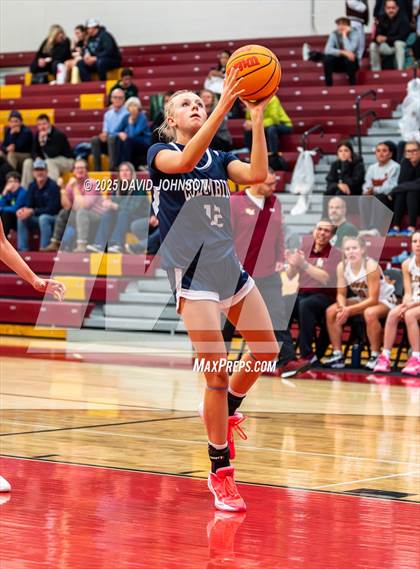 Thumbnail 1 in Rocky Mountain vs. Columbine photogallery.