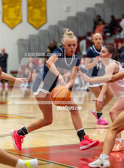 Thumbnail 3 in Rocky Mountain vs. Columbine photogallery.