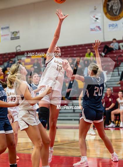 Thumbnail 3 in Rocky Mountain vs. Columbine photogallery.