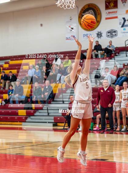 Thumbnail 2 in Rocky Mountain vs. Columbine photogallery.