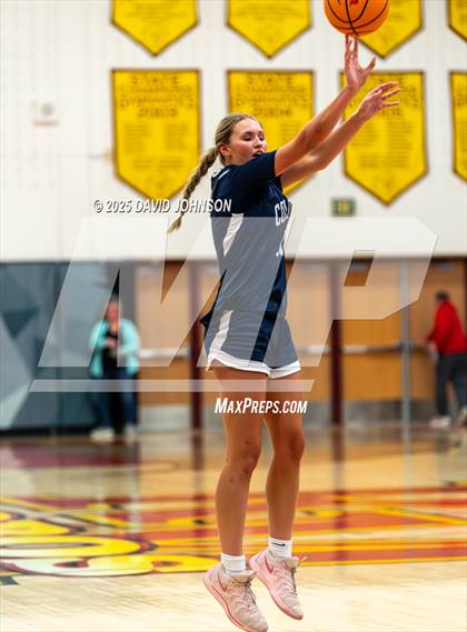 Thumbnail 3 in Rocky Mountain vs. Columbine photogallery.