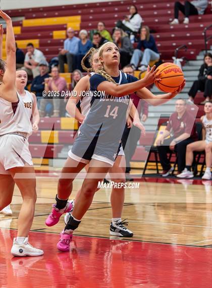 Thumbnail 3 in Rocky Mountain vs. Columbine photogallery.