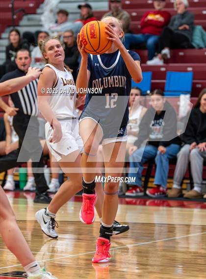 Thumbnail 1 in Rocky Mountain vs. Columbine photogallery.