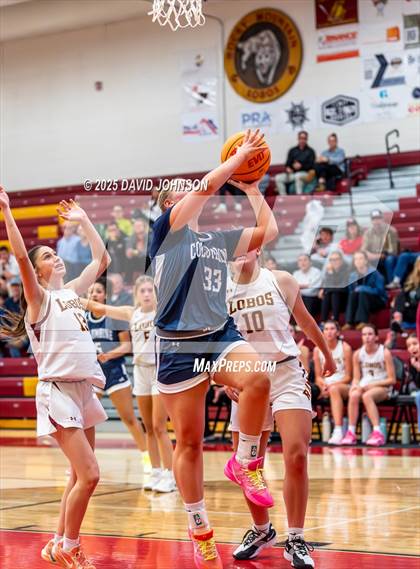 Thumbnail 1 in Rocky Mountain vs. Columbine photogallery.