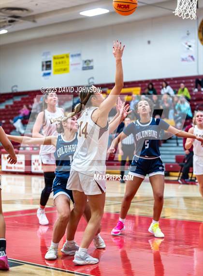 Thumbnail 3 in Rocky Mountain vs. Columbine photogallery.