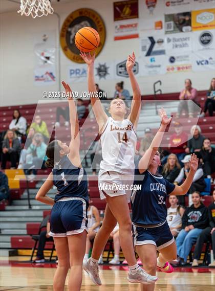 Thumbnail 3 in Rocky Mountain vs. Columbine photogallery.