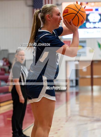 Thumbnail 3 in Rocky Mountain vs. Columbine photogallery.