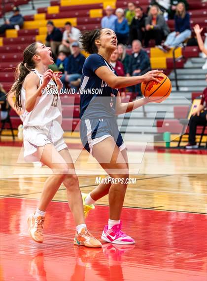 Thumbnail 3 in Rocky Mountain vs. Columbine photogallery.