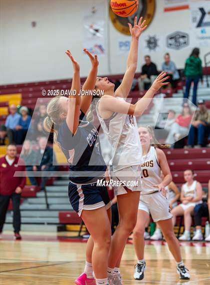 Thumbnail 1 in Rocky Mountain vs. Columbine photogallery.