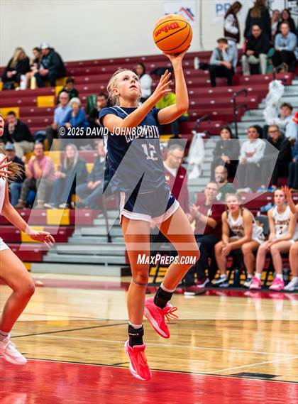 Thumbnail 2 in Rocky Mountain vs. Columbine photogallery.