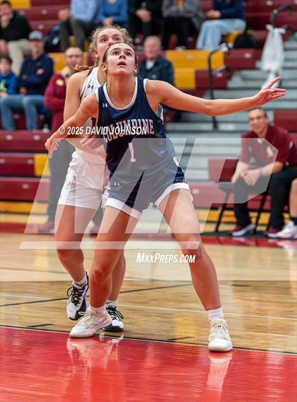 Thumbnail 1 in Rocky Mountain vs. Columbine photogallery.