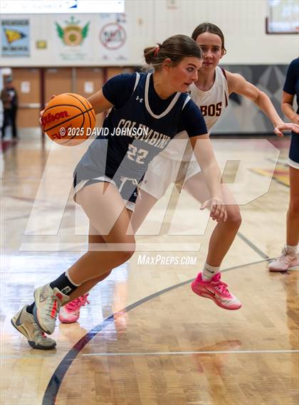 Thumbnail 1 in Rocky Mountain vs. Columbine photogallery.