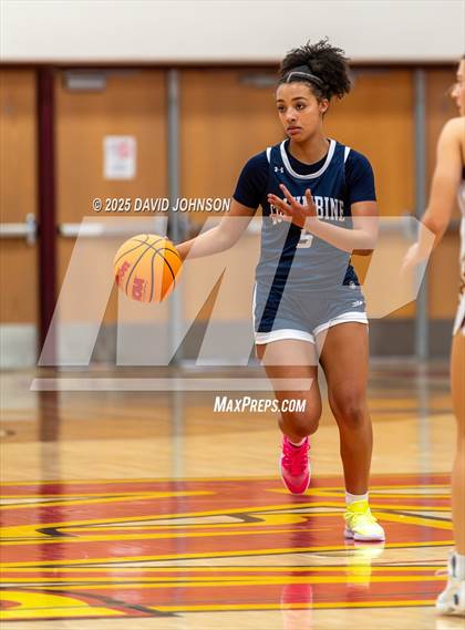 Thumbnail 3 in Rocky Mountain vs. Columbine photogallery.