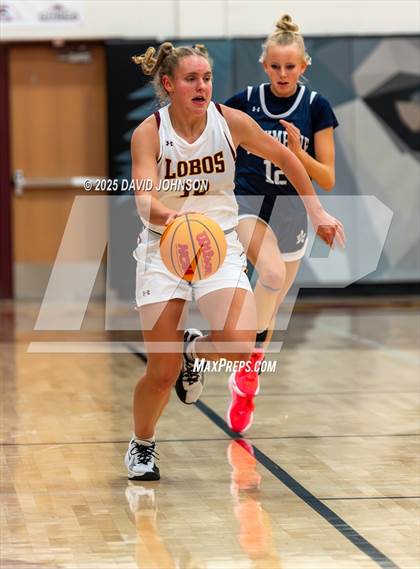 Thumbnail 2 in Rocky Mountain vs. Columbine photogallery.